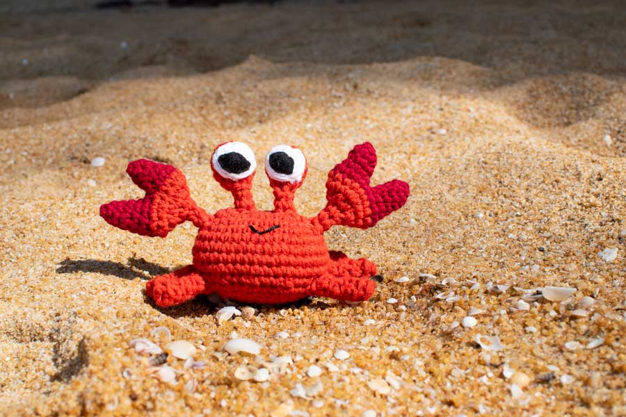 Crab-sand